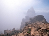Pico de Las Nieves